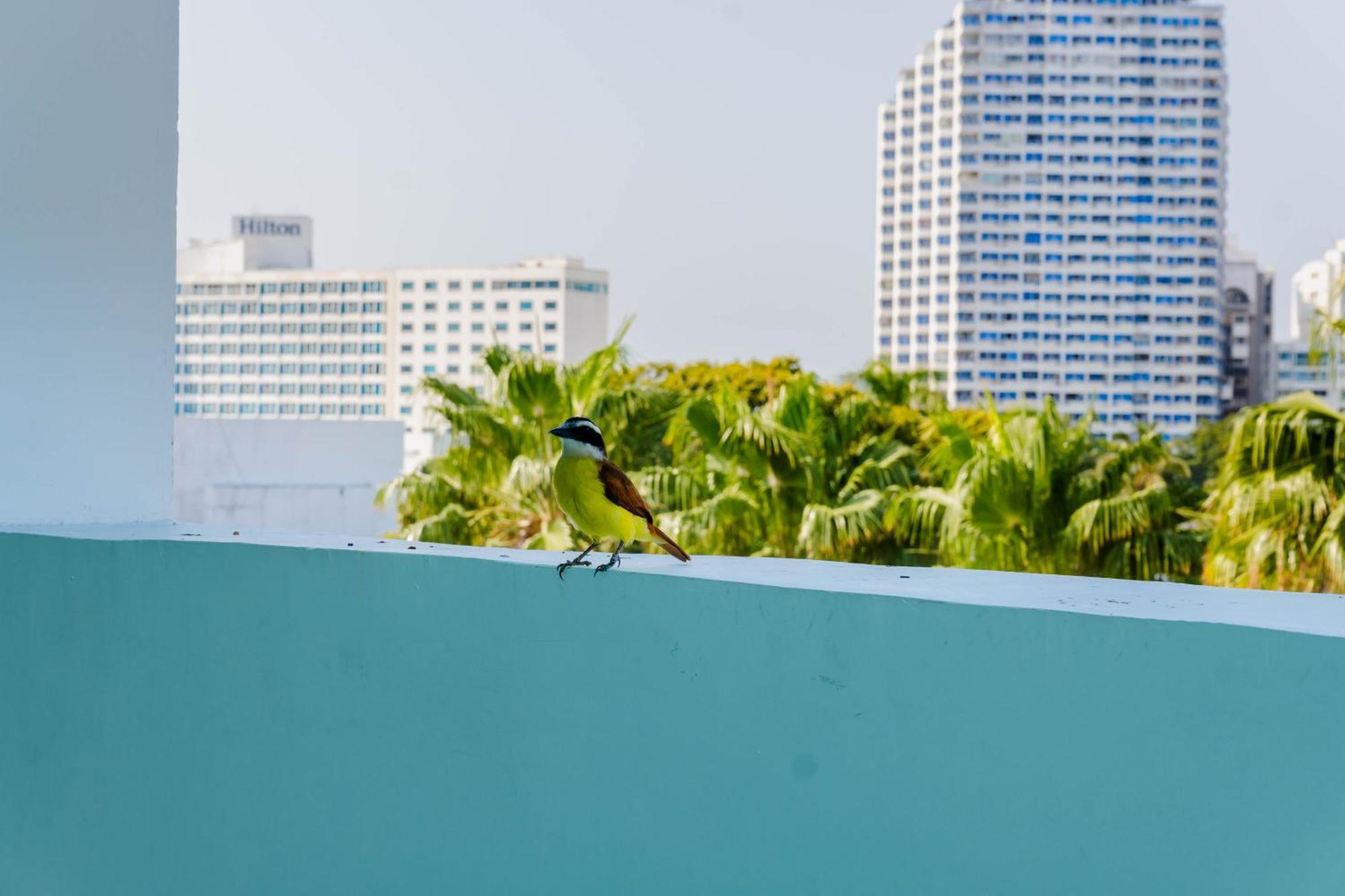 Hotel Coral Reef Cartagena Екстериор снимка